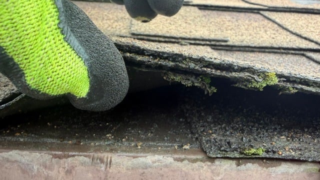Technician lifting a shingle edge to check for damage
